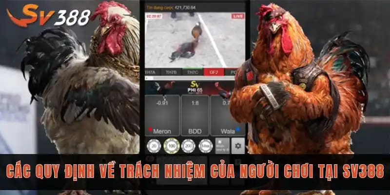 Chơi có trách nhiệm tại SV388 và mục đích định hướng chính 2 Các quy định về trách nhiệm của người chơi tại Sv388