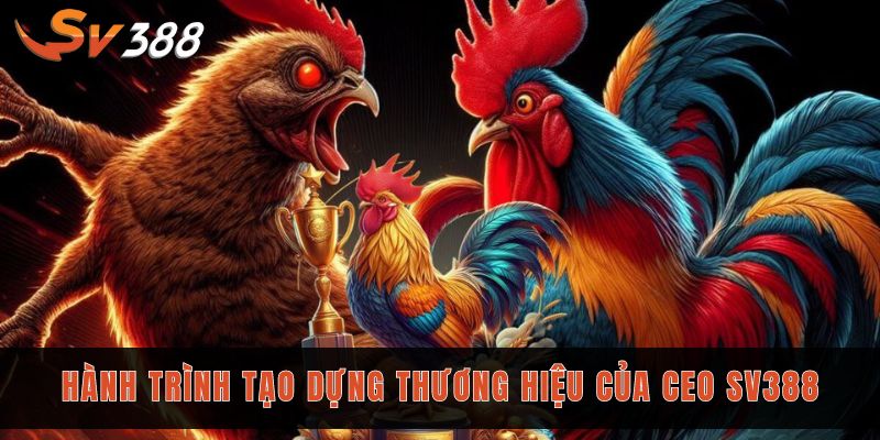 CEO Trương Tuấn Tú Sv388 và hành trình 10 năm phát triển 2 Hành trình tạo dựng thương hiệu của CEO Sv388